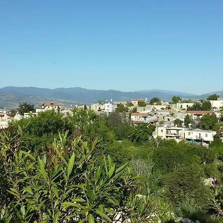 Arodaphne