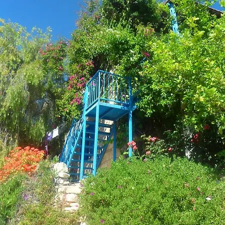 Arodaphne Villa *
